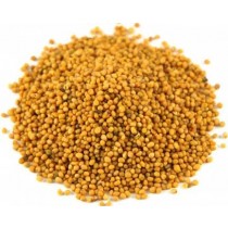 Big Yellow Mustard Seeds (Peeli Sarson)
